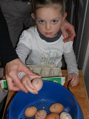 DSCN1156.jpg