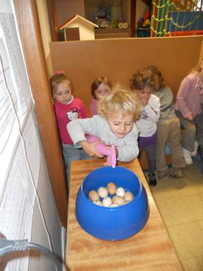 DSCN1305.jpg