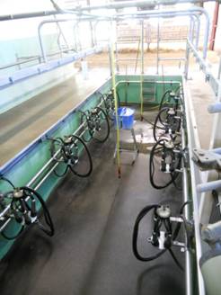 DSCN1899.JPG