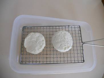 DSCN4298.JPG