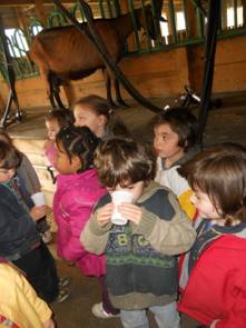 DSCN4179.JPG