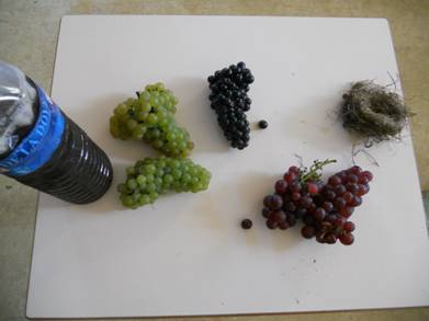 DSCN2356.JPG