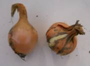 DSCN2455.JPG