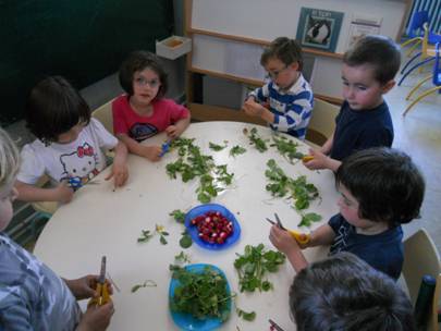 DSCN4288.JPG
