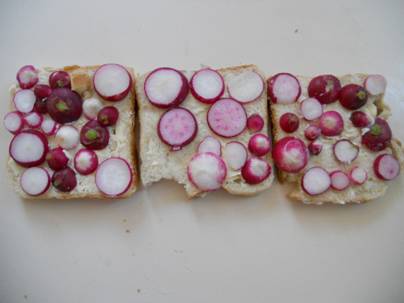 DSCN4295.JPG
