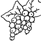 http://www.coloriage.tv/js/groseille.png